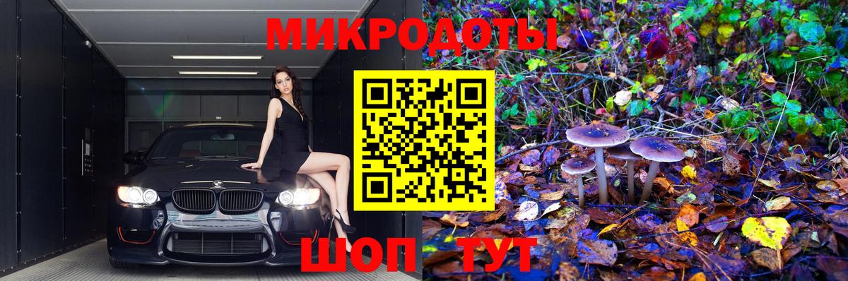 цены наркотик  Галлюциногенные грибы Magic Shrooms  Вход с VPN  Псилоцибиновые грибы Psilocybine cubensis  Пугачёв 