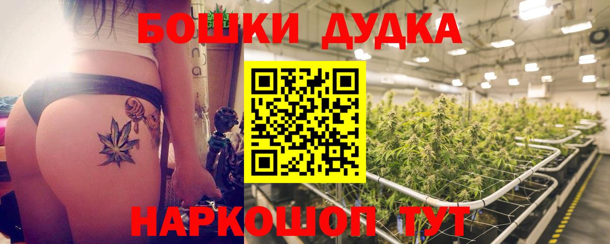 Конопля гибрид Пугачёв